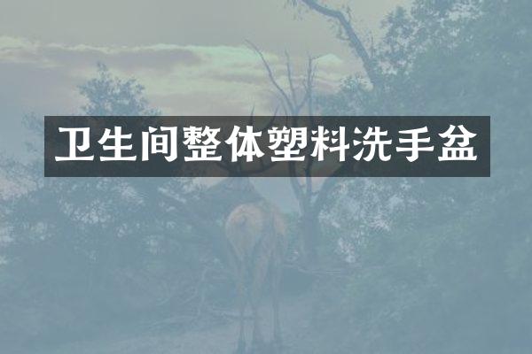 卫生间整体塑料洗手盆