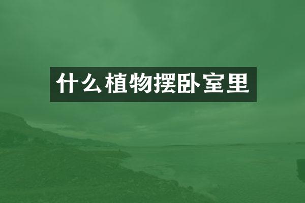 什么植物摆卧室里