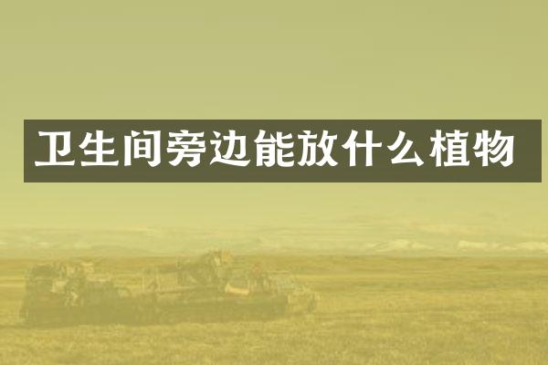 卫生间旁边能放什么植物