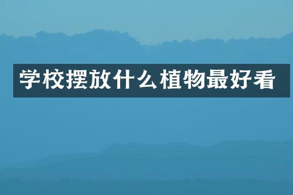 学校摆放什么植物最好看