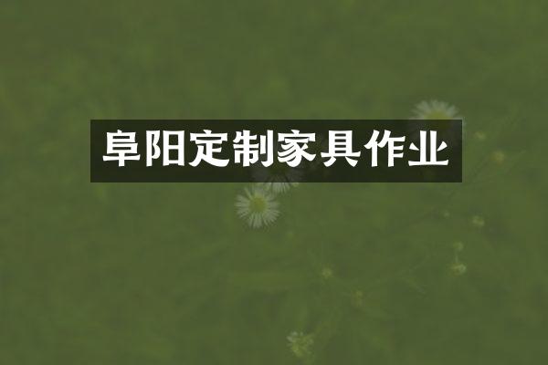 阜阳定制家具作业