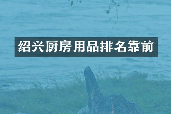 绍兴厨房用品排名靠前