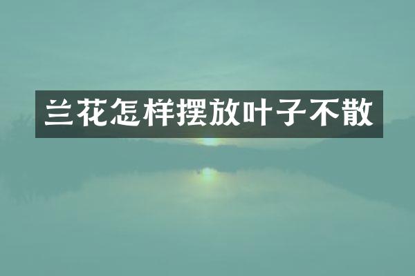 兰花怎样摆放叶子不散