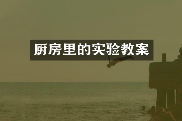 厨房里的实验教案