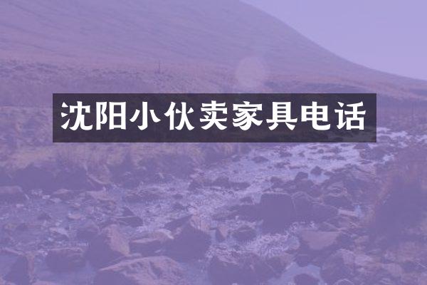 沈阳小伙卖家具电话