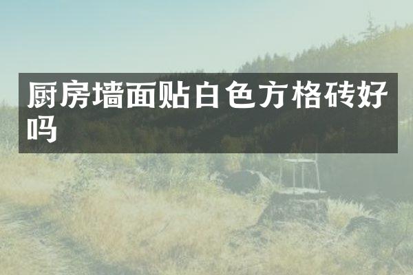 厨房墙面贴白色方格砖好吗