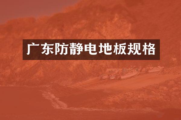 广东防静电地板规格