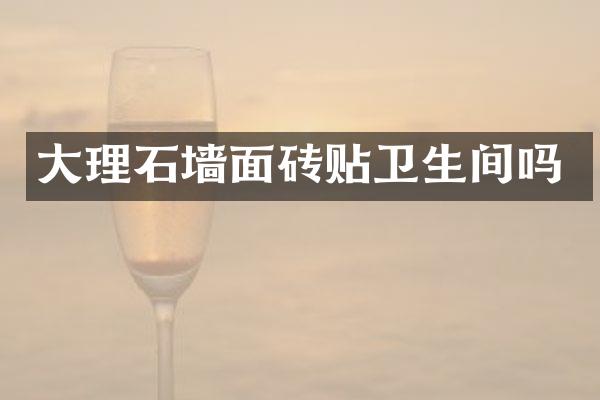 大理石墙面砖贴卫生间吗