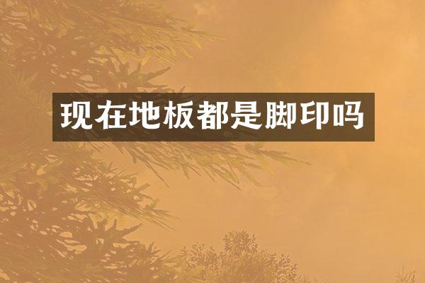 现在地板都是脚印吗