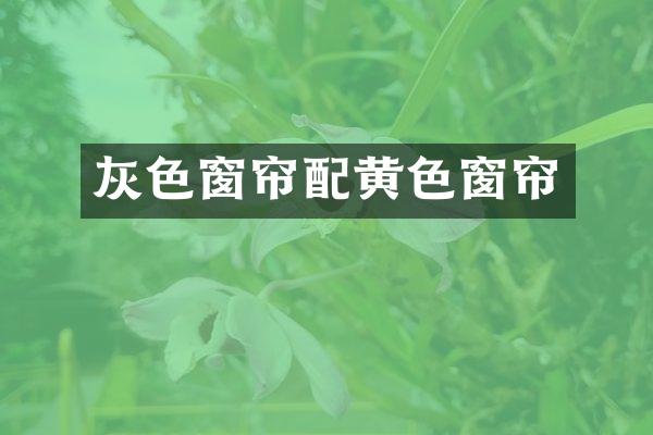 灰色窗帘配黄色窗帘