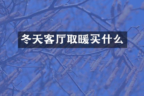 冬天客厅取暖买什么