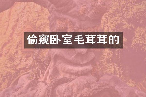 偷窥卧室毛茸茸的