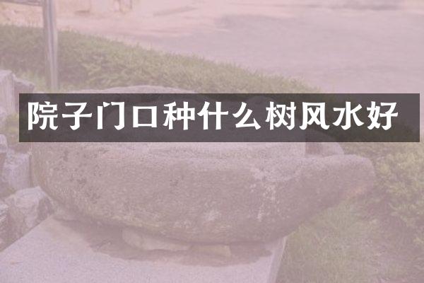 院子门口种什么树风水好