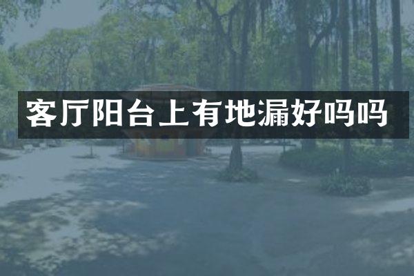 客厅阳台上有地漏好吗吗