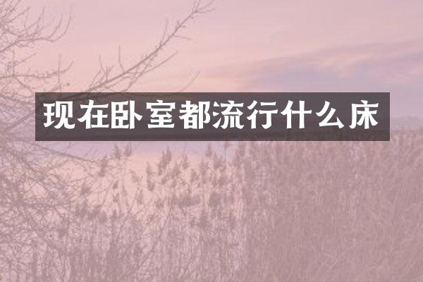 现在卧室都流行什么床
