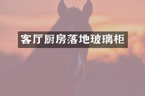 客厅厨房落地玻璃柜