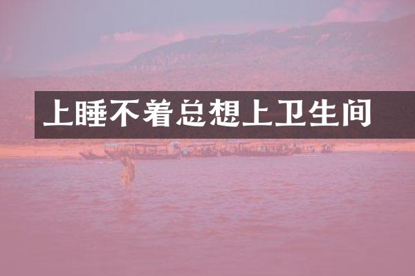 晩上睡不着总想上卫生间