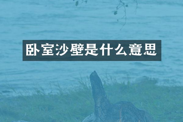 卧室沙壁是什么意思