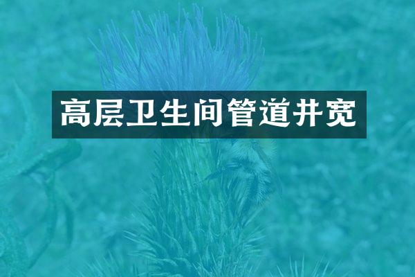 高层卫生间管道井宽