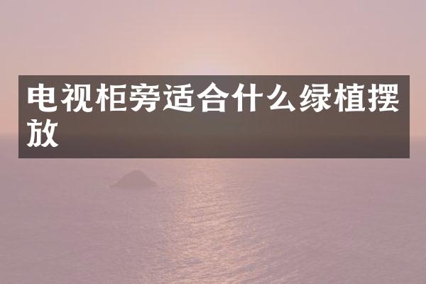 电视柜旁适合什么绿植摆放