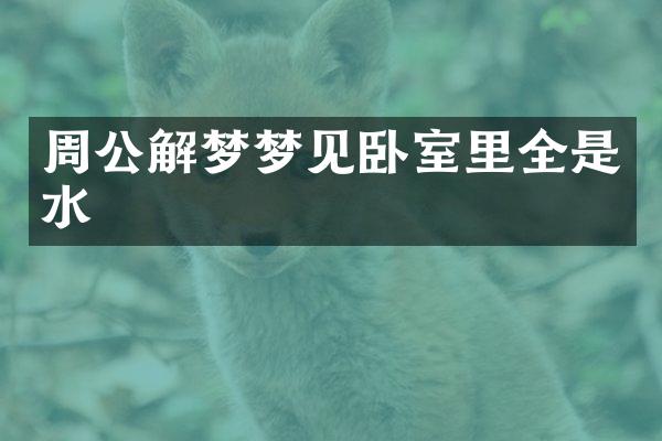 周公解梦梦见卧室里全是水