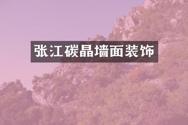 张江碳晶墙面装饰