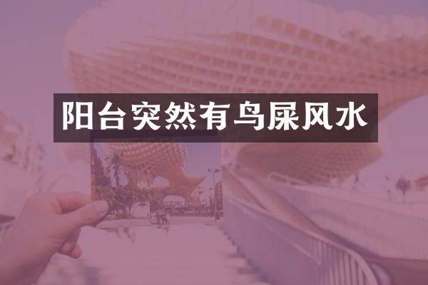 阳台突然有鸟屎风水