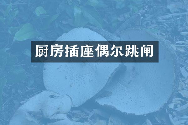 厨房插座偶尔跳闸