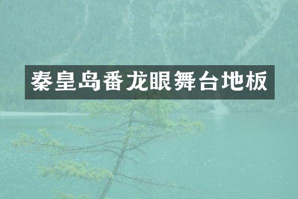 秦皇岛番龙眼舞台地板