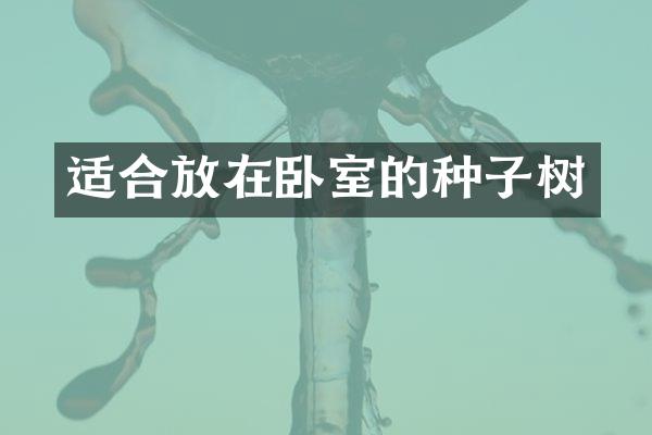 适合放在卧室的种子树