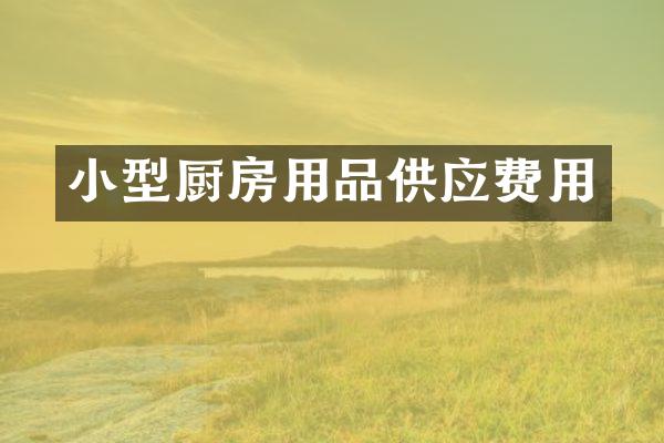 小型厨房用品供应费用