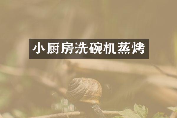 小厨房洗碗机蒸烤