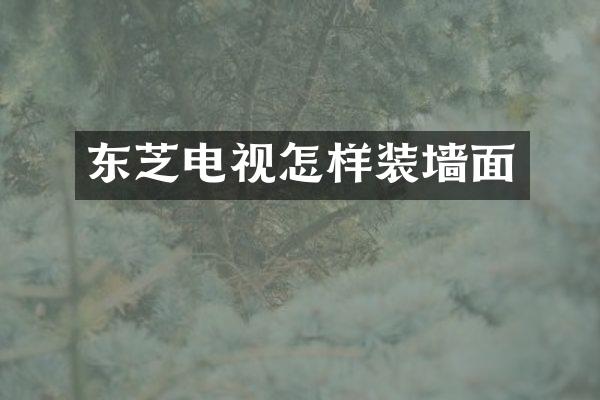 东芝电视怎样装墙面