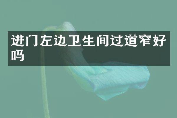 进门左边卫生间过道窄好吗