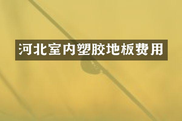 河北室内塑胶地板费用