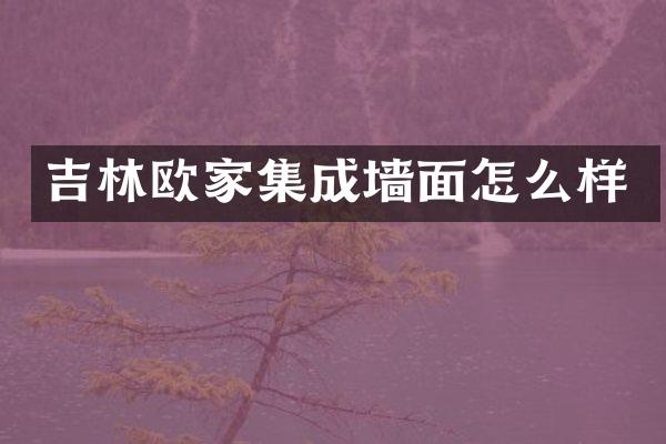 吉林欧家集成墙面怎么样