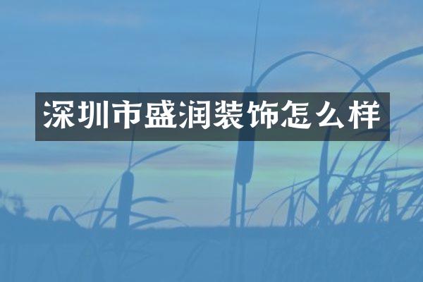 深圳市盛润装饰怎么样