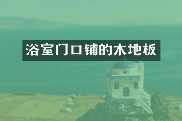 浴室门口铺的木地板