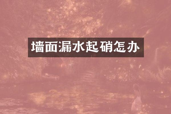 墙面漏水起硝怎办