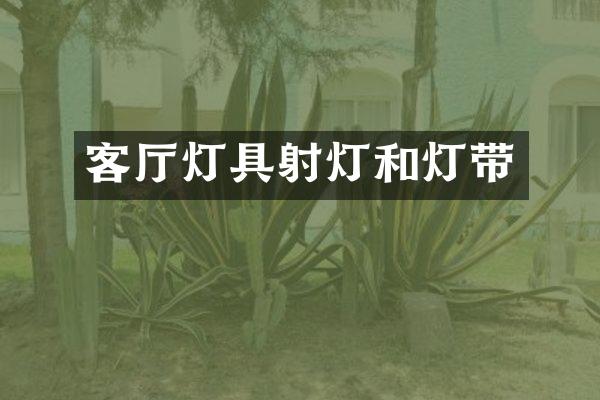 客厅灯具射灯和灯带