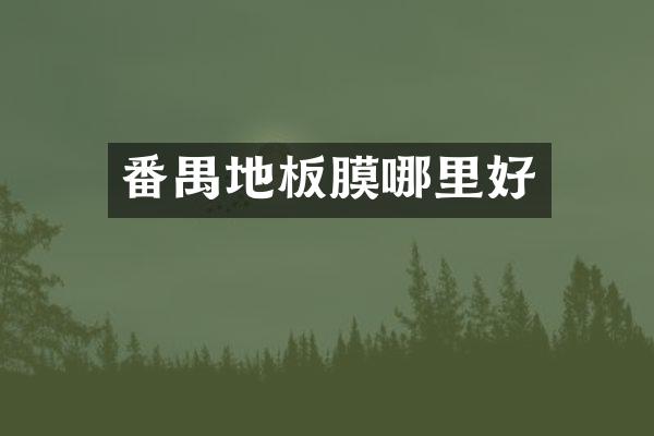 番禺地板膜哪里好