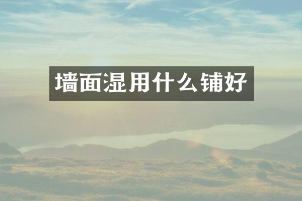 墙面湿用什么铺好
