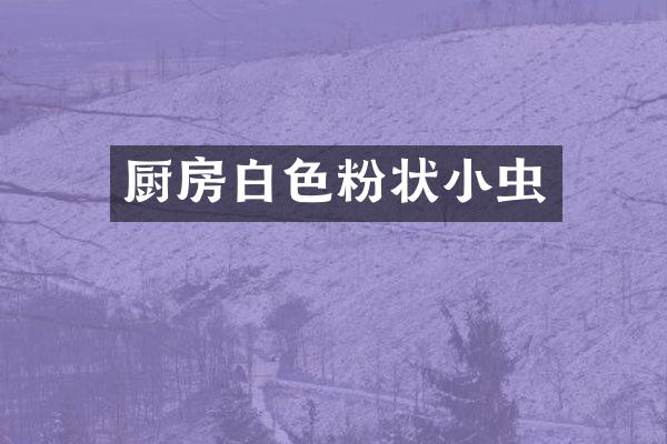 厨房白色粉状小虫