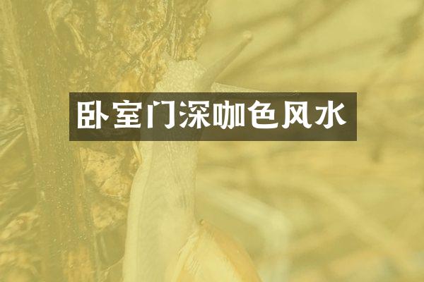 卧室门深咖色风水