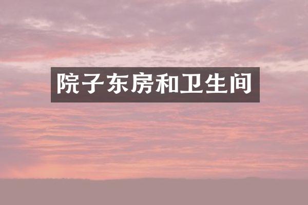 院子东房和卫生间