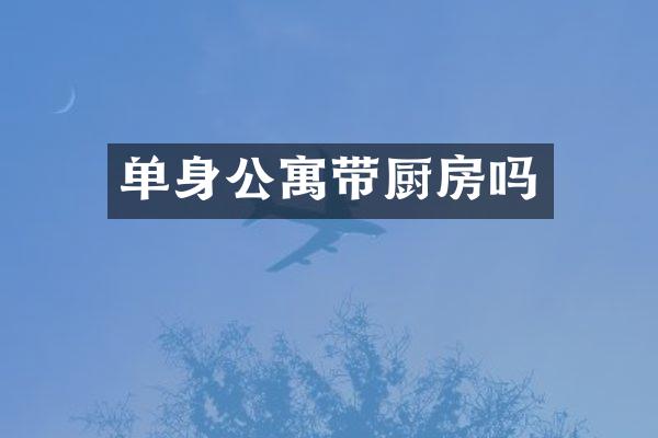 单身公寓带厨房吗
