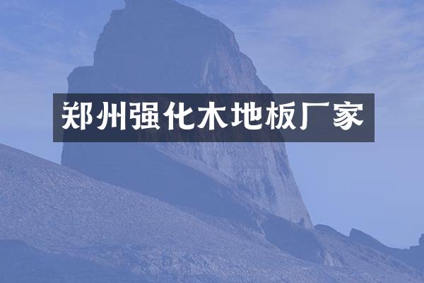 郑州强化木地板厂家
