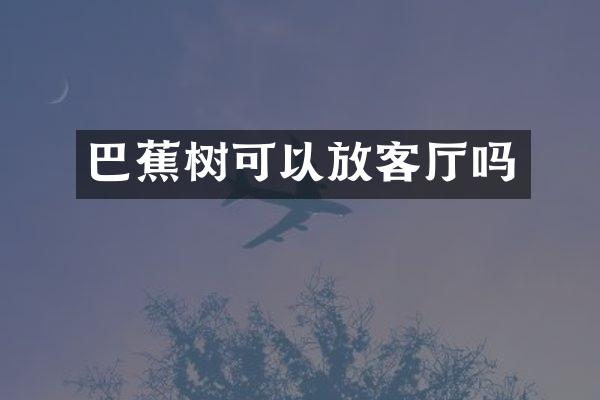 巴蕉树可以放客厅吗