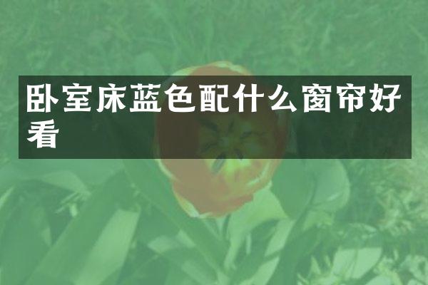 卧室床蓝色配什么窗帘好看
