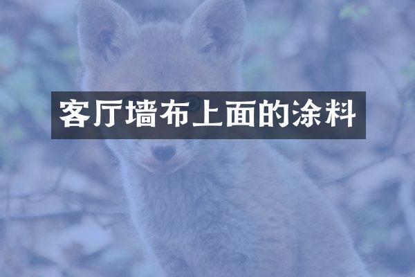 客厅墙布上面的涂料